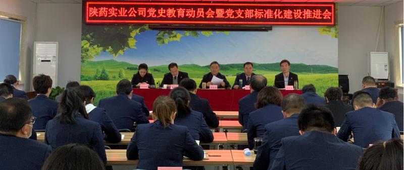 陜藥實業(yè)公司黨委召開黨史教育動員會暨黨支部標準化建設推進會